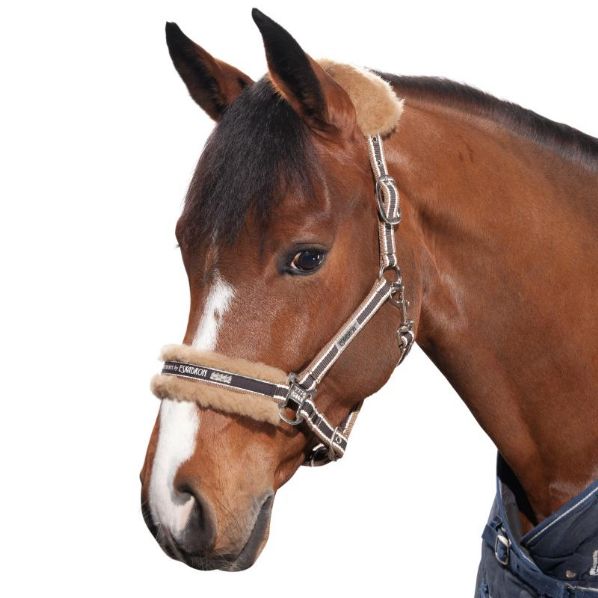 Sheepskin headcollar on sale